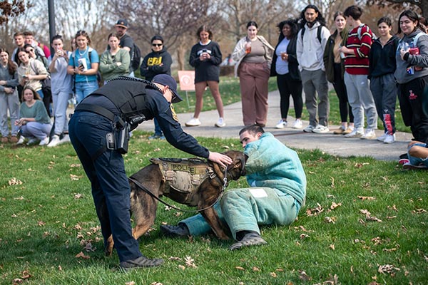 Criminology program ranked No. 2 in Virginia by PLEXUSS