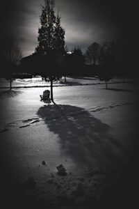 Snow on the dell with a chair in black and white