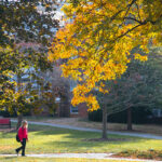 The Dell in the Fall